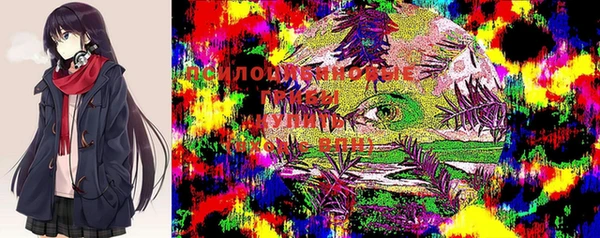 дживик Алзамай