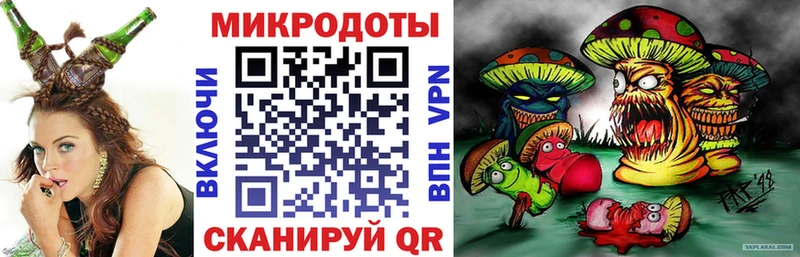 Псилоцибиновые грибы Psilocybe Ядрин